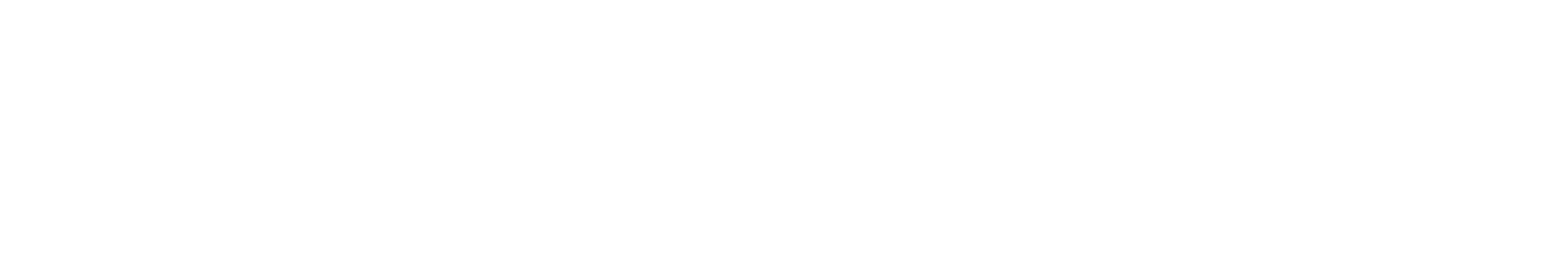 Bellecapital Group